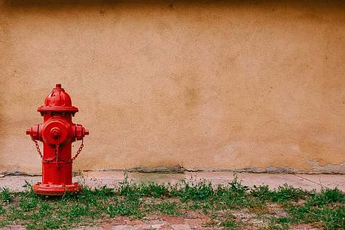 hydrant fire hydrant near beige painted wall plant